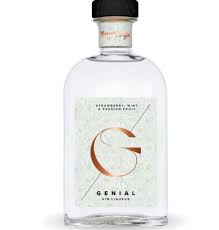 Gin Genial Liqueur 24° 50cl - Meyer's Gin